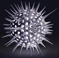 Avatar de l’utilisateur